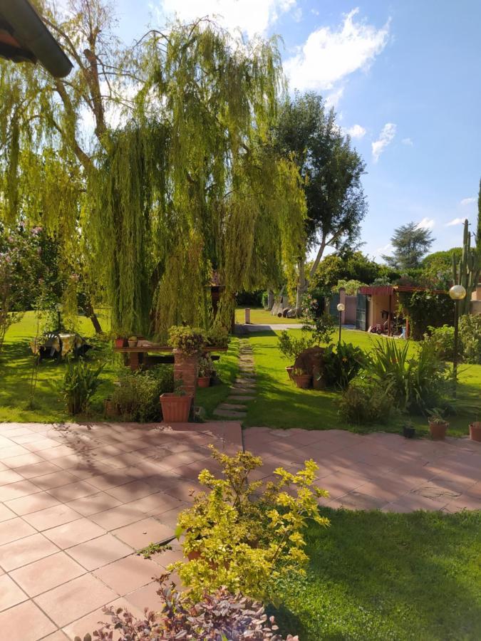 Villa Favilli Pisa Exterior photo