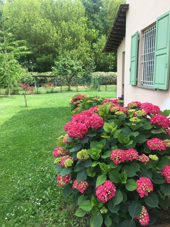 Villa Favilli Pisa Exterior photo